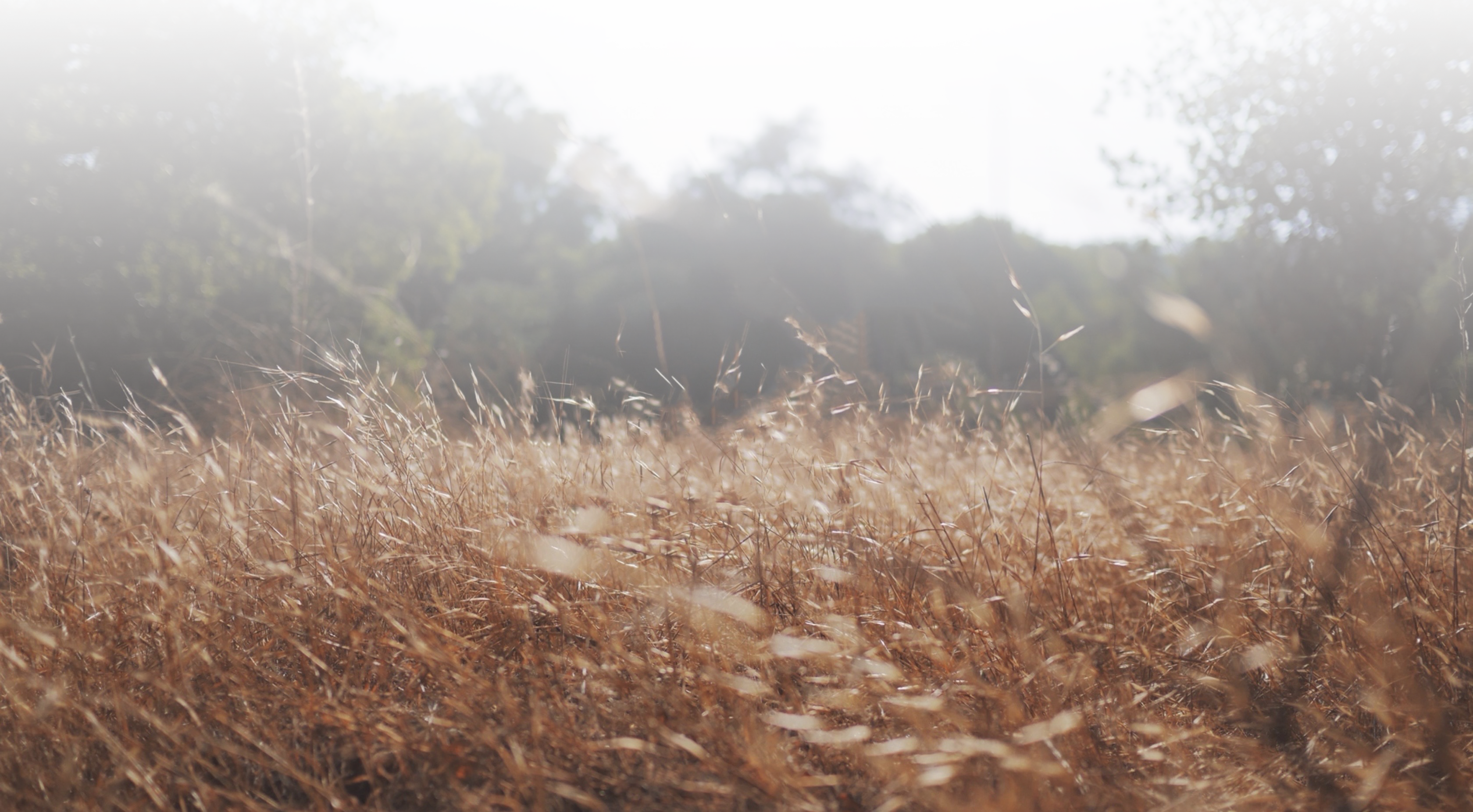 本質を見極めた上でのシンプルデザイン MUKU 無垢